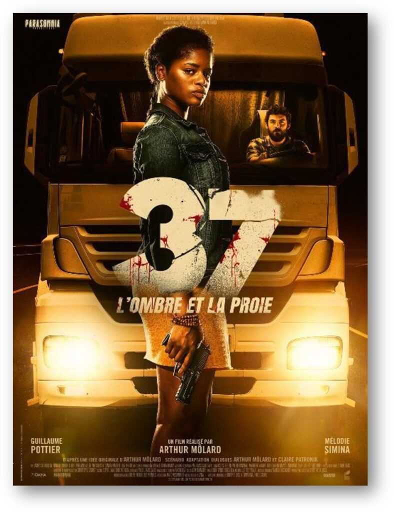 Affiche du film "37 l'ombre et la proie".